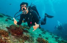 Tauchen an den Similan Islands: Die schönsten Stellen!