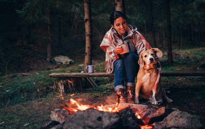Auch auf dem Campingplatz fühlt sich unser Hund total wohl. (Foto: shutterstock - Soloviova Liudmyla)