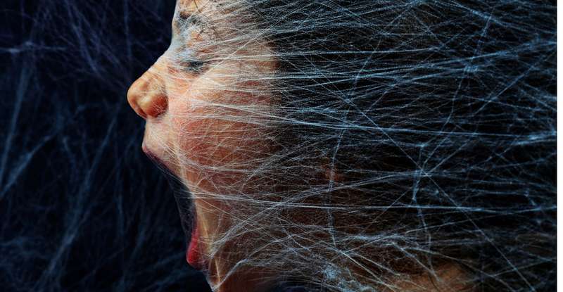 Viele Australier nennen die Spinnweben-Teppiche "Engelshaar". Vor allem die Menschen aus Wagga Wagga oder auch Soulburn kennen das schaurige Phänomen nur zu gut. ( Lizenzdoku: Shutterstock-Alexander Sviridov)