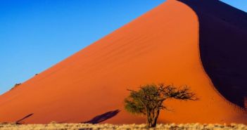 mTouristische Besucherzahlen in Afrika nehmen erneut zu (Foto: AdobeStock - Iuliia Sokolovska 64997307)