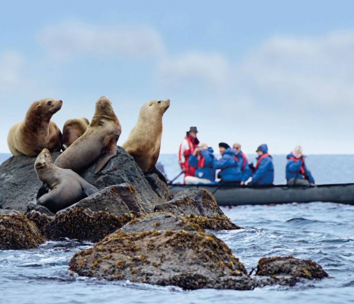 Die Zodiacs kommen beinahe jeden Tag zum Einsatz, um die Tierwelt der Antarktis zu erkunden. (Foto: Hapag-Lloyd Cruises)