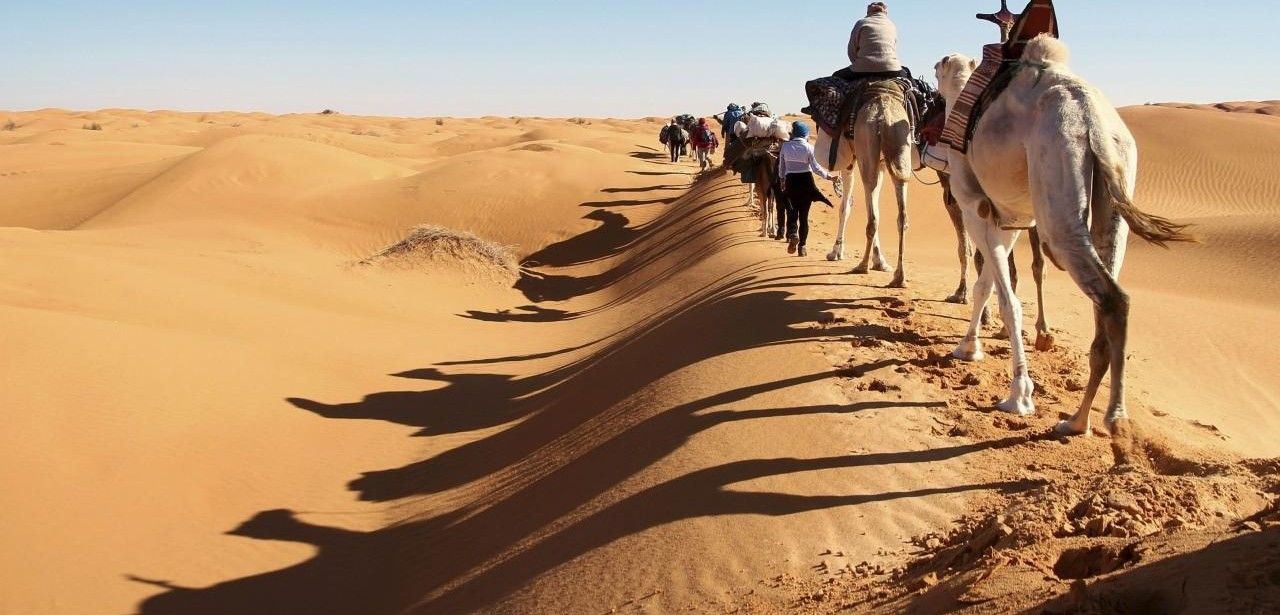 Vier individuelle Afrikareisen: Wandern, Safari, Genuss und Kamelabenteuer (Foto: Wikinger Reisen)